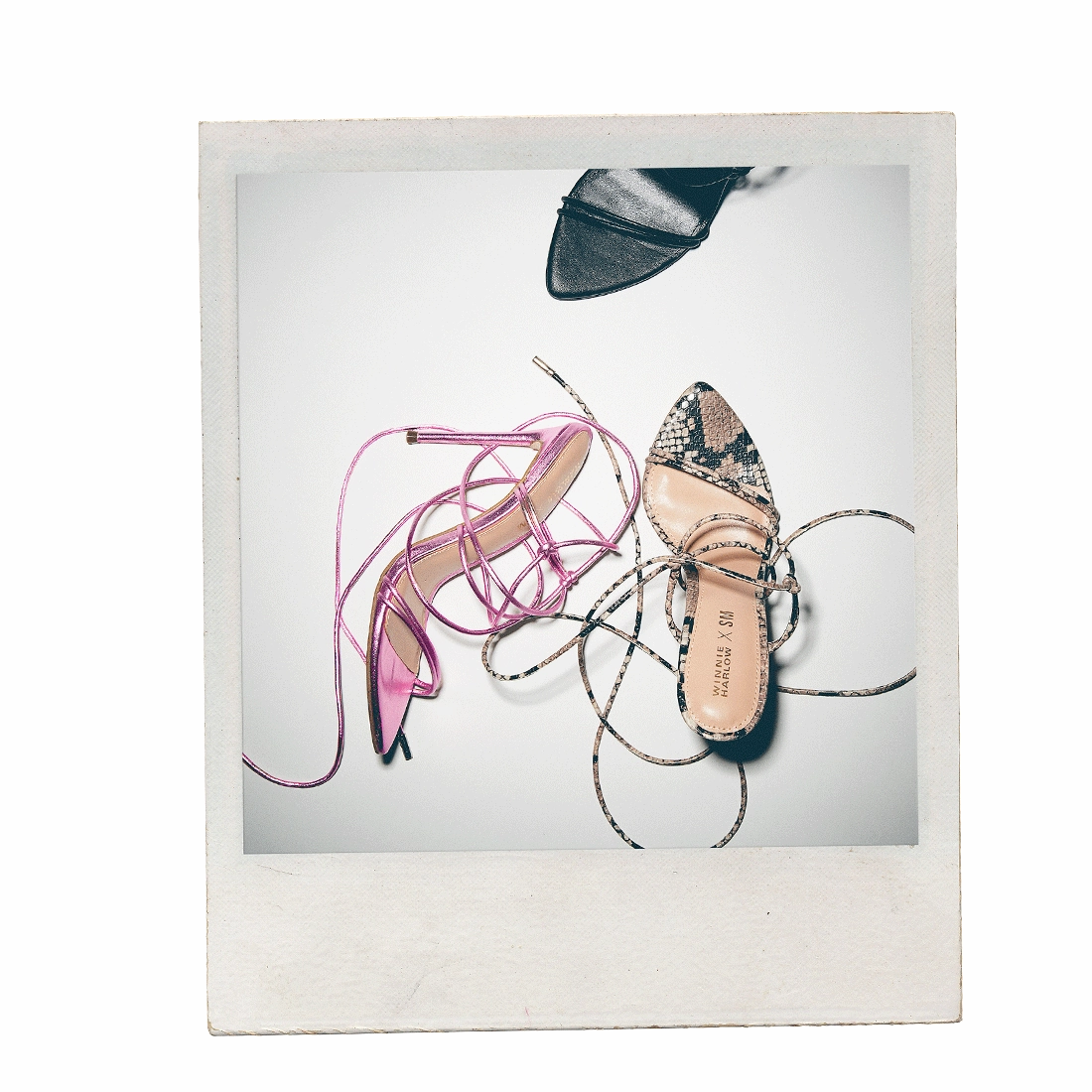 BADGIRL BEIGE SNAKE - SM REBOOTED
