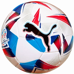 Cumbre Conmebol Copa America Ball