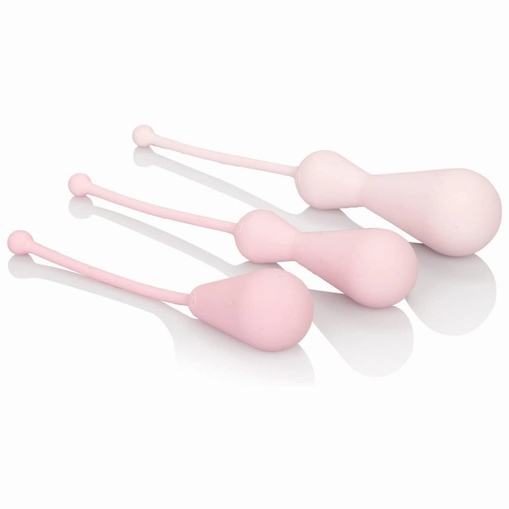 Inspire Weighted Silicone Kegel Training Kit