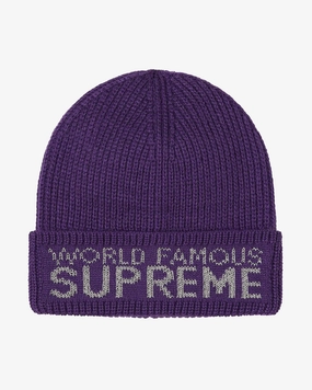 SUPREME FW20 WORLD FAMOUS BEANIE PURPLE